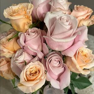 Meet your Posher, Marisa